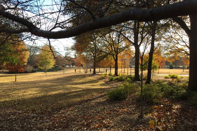 Georgia Tech Arboretum