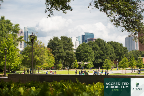 Image of thriving, green Tech campus.